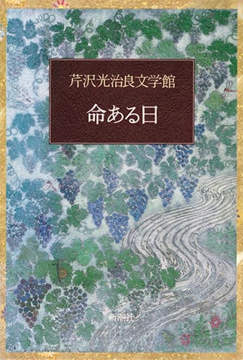 芹沢光治良文学館 1