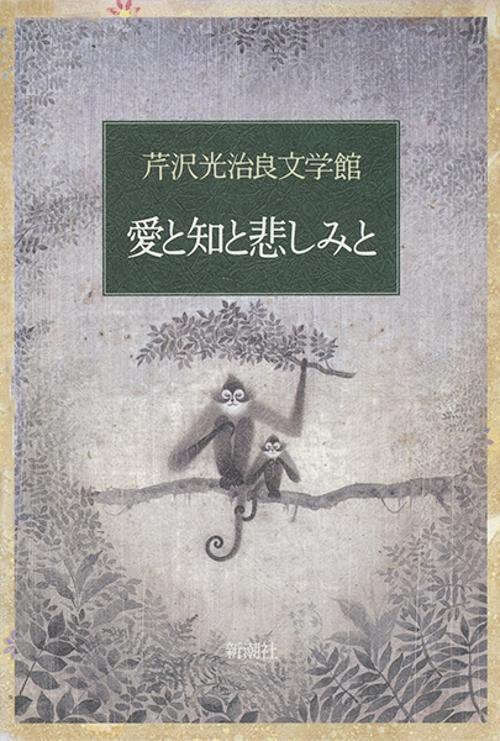 芹沢光治良文学館 3