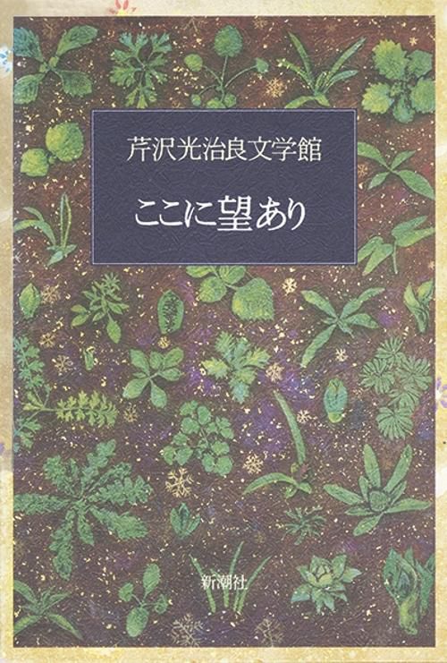 芹沢光治良文学館 4