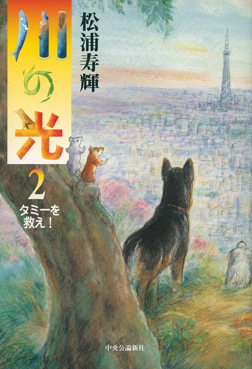 川の光 2