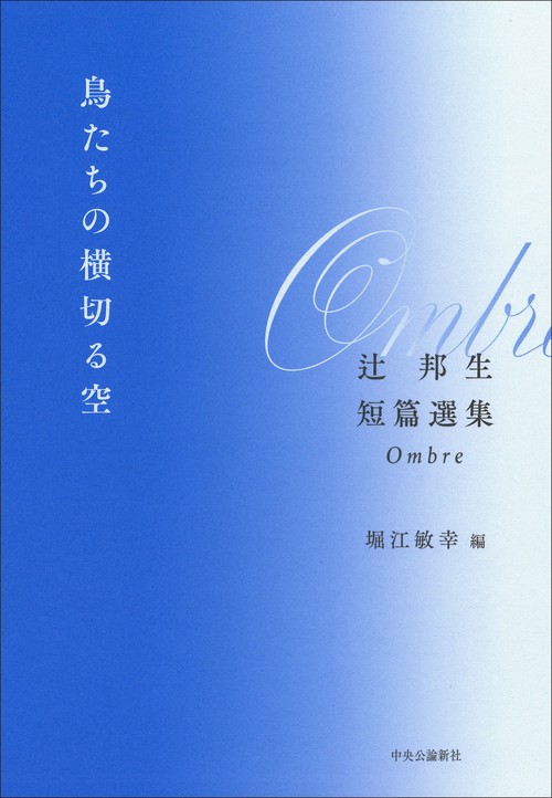 鳥たちの横切る空
