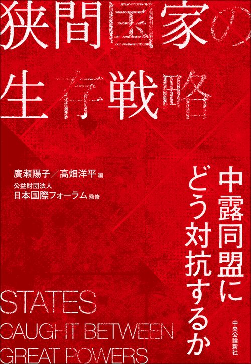 狭間国家の生存戦略　