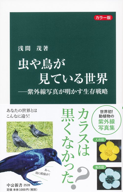 虫や鳥が見ている世界 紫外線写真が明かす生存戦略 カラー版