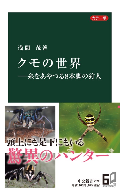 カラー版  クモの世界糸をあやつる８本脚の狩人