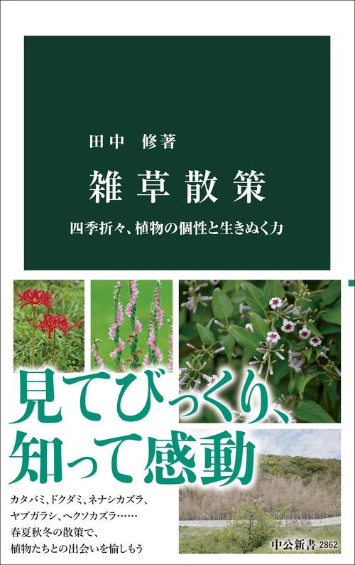 雑草散策