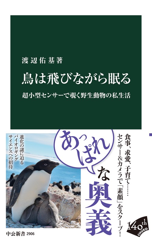 鳥は飛びながら眠る