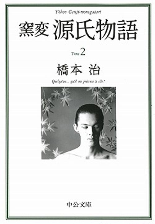 窯変源氏物語 2