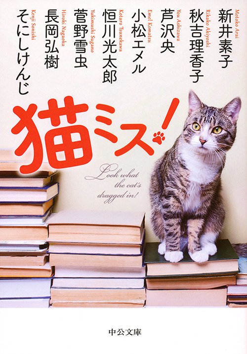 猫ミス!