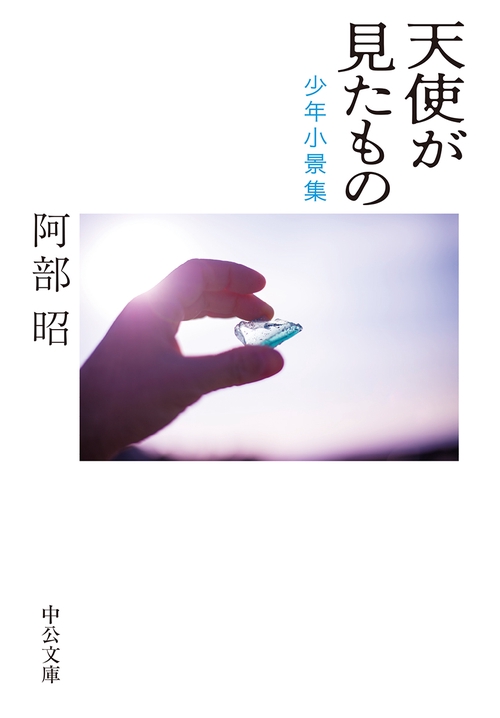 天使が見たもの 少年小景集