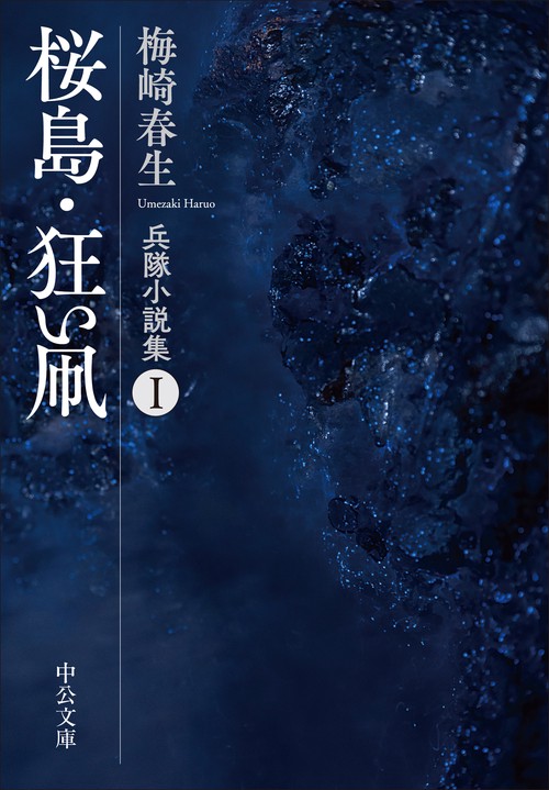 桜島・狂い凧