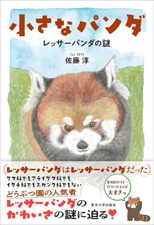 小さなパンダ