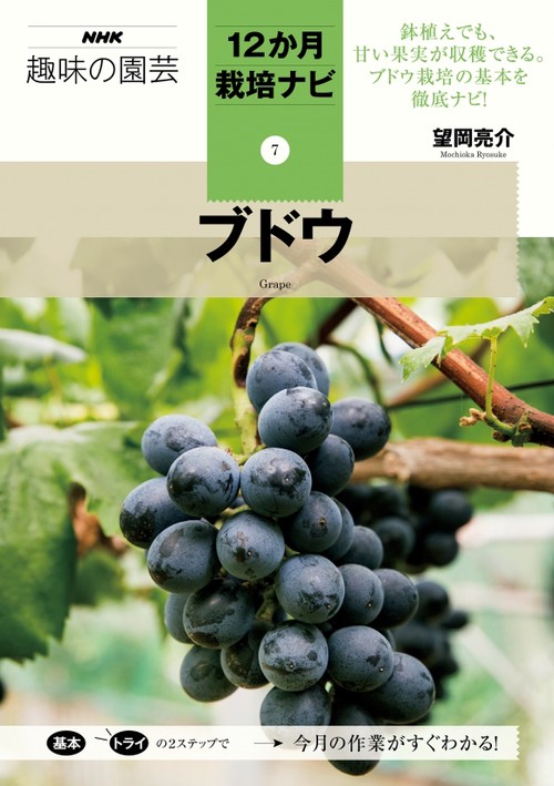 ブドウ