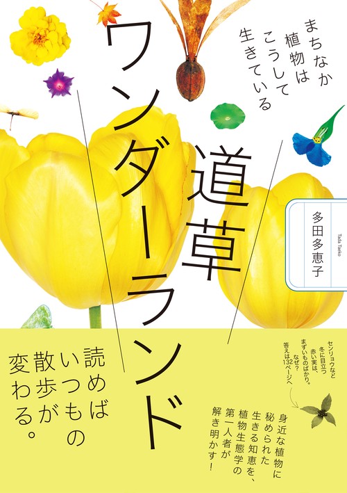 道草ワンダーランド