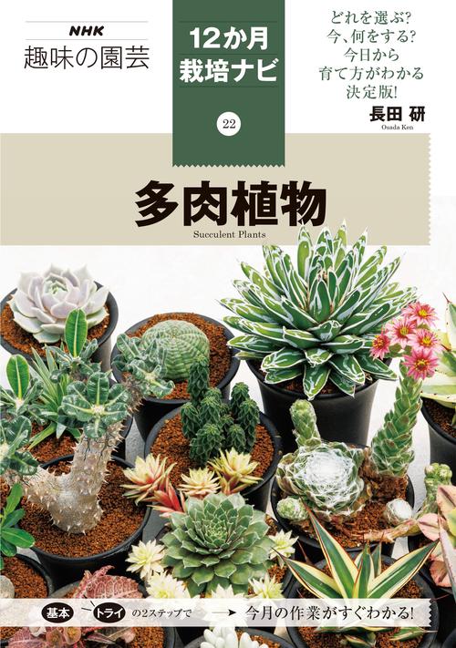 ㉒多肉植物