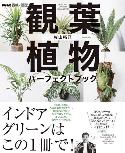 ＮＨＫ趣味の園芸　　観葉植物　パーフェクトブック
