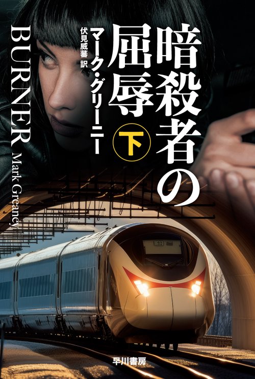 暗殺者の屈辱 下