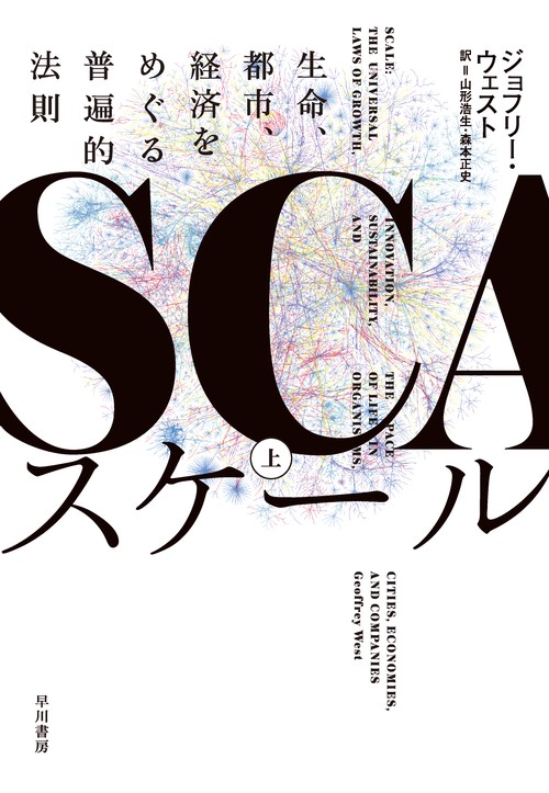 スケール 上