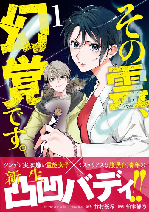 その霊、幻覚です。 1