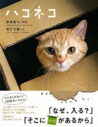 ハコネコ