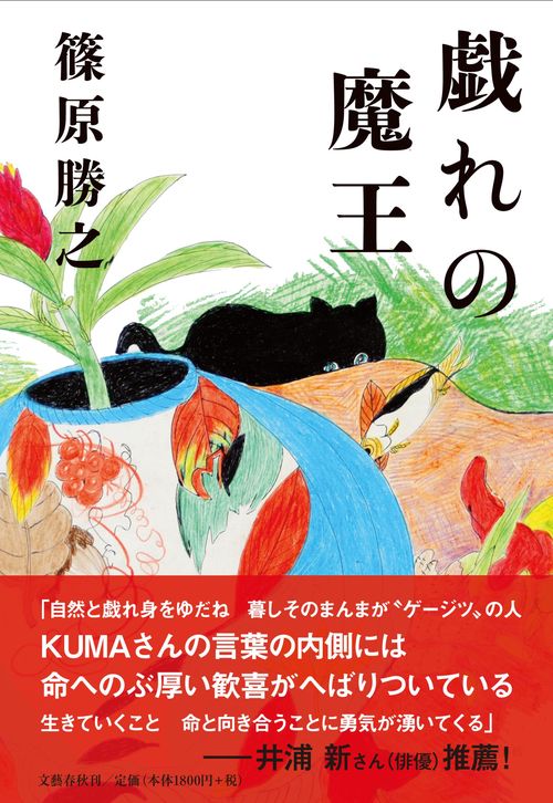 戯れの魔王