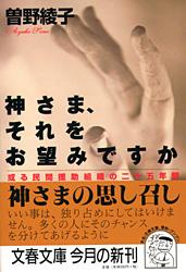 或る民間援助組織の二十五年間 神さま、それをお望みですか
