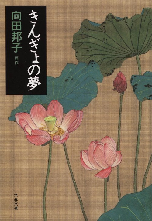 家族熱