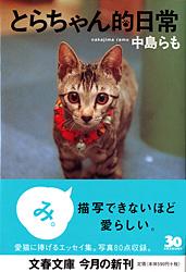 とらちゃん的日常