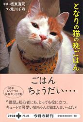 簡単レシピつき写真エッセイ集 となりの猫の晩ごはん