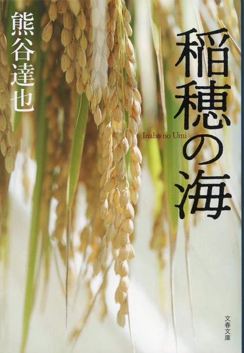 稲穂の海