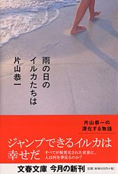 雨の日のイルカたちは