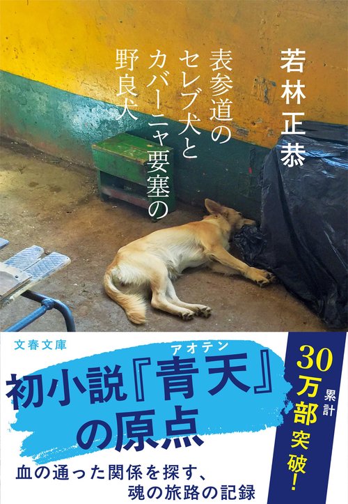 表参道のセレブ犬とカバーニャ要塞の野良犬