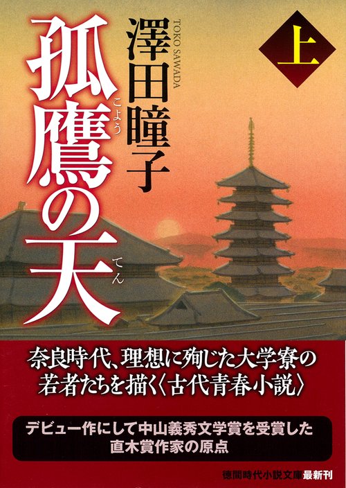 孤鷹の天上　〈新装版〉
