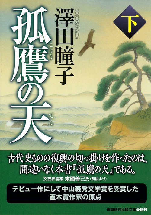 孤鷹の天下　〈新装版〉