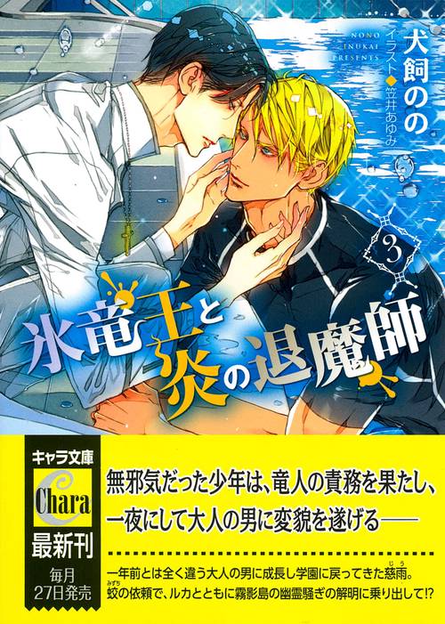 氷竜王と炎の退魔師　（３）
