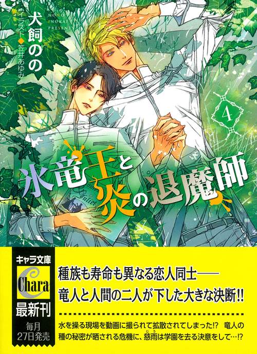 氷竜王と炎の退魔師　（４）