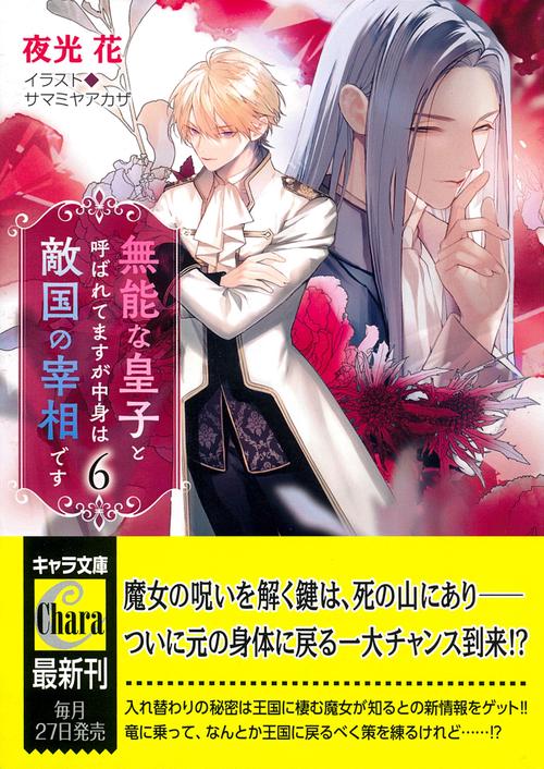 無能な皇子と呼ばれてますが中身は敵国の宰相です　（６）