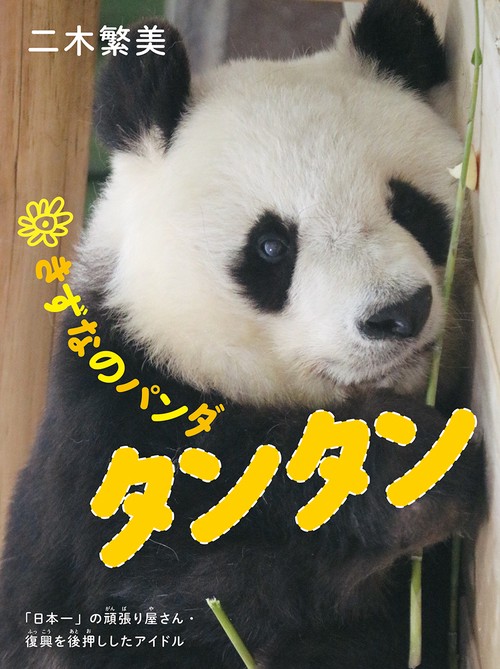 きずなのパンダ タンタン　　
