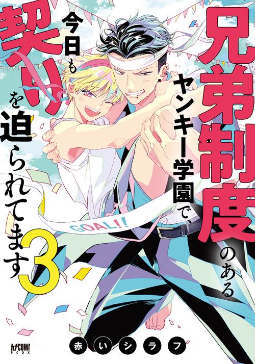 兄弟制度のあるヤンキー学園で、今日も契りを迫られてます  3