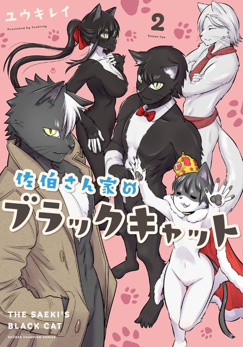 佐伯さん家のブラックキャット  2