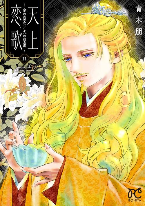 天上恋歌　～金の皇女と火の薬師～　11