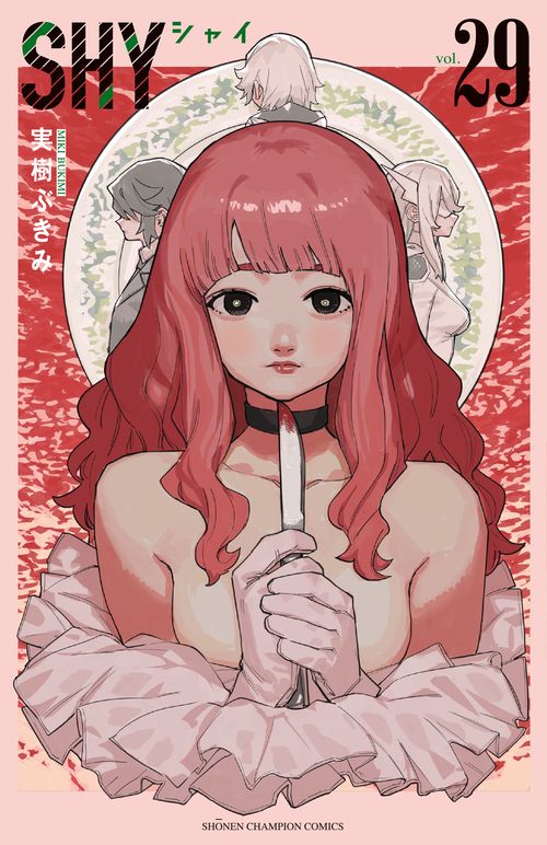ＳＨＹ　29