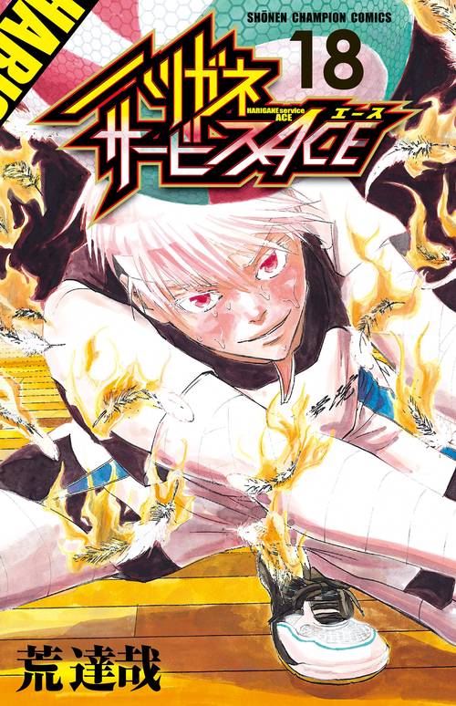 ハリガネサービスＡＣＥ  18