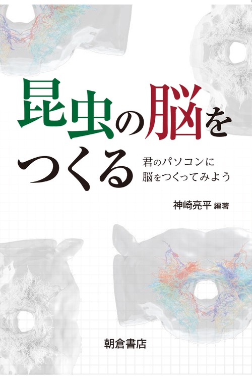 昆虫の脳をつくる 君のパソコンに脳をつくってみよう