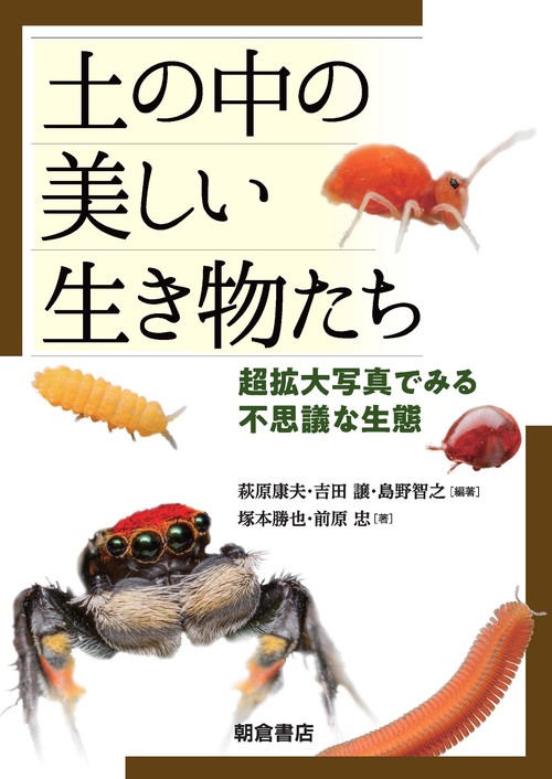 土の中の美しい生き物たち