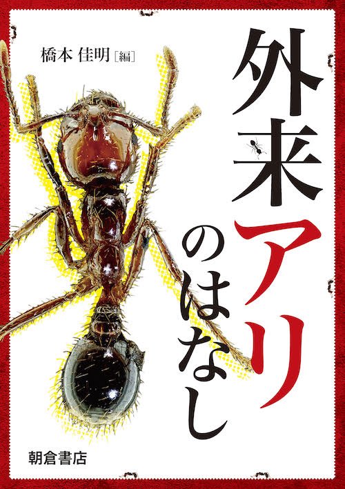 外来アリのはなし