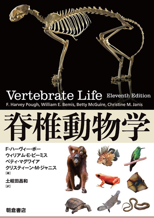 脊椎動物学