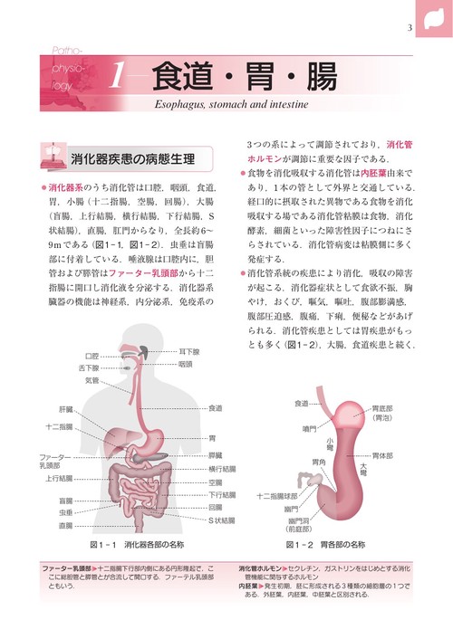 エッセンシャル臨床栄養学 第10版