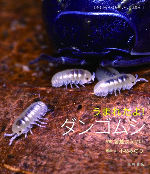 うまれたよ!ダンゴムシ
