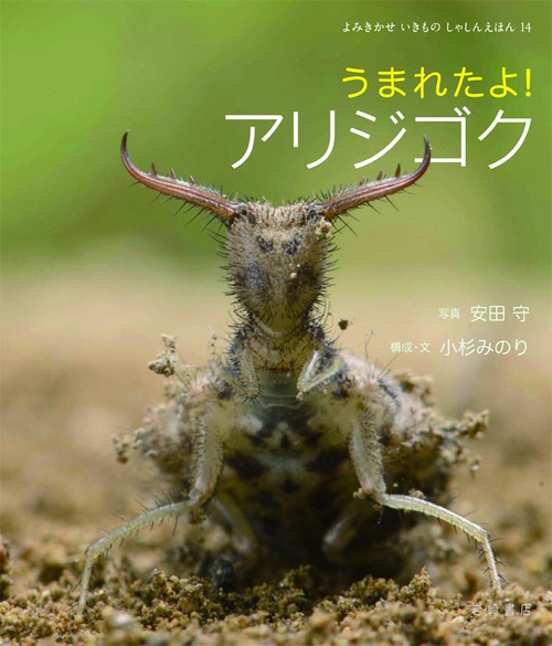 うまれたよ!アリジゴク