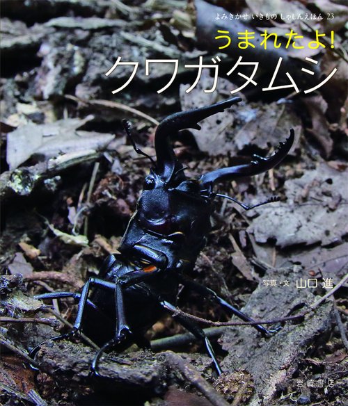 うまれたよ!クワガタムシ